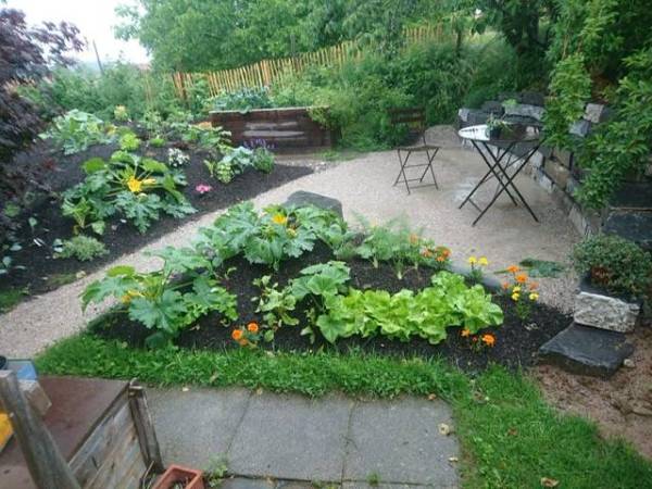 ae04705b-cdb6-4666-b24b-c959bb1e27d1_original