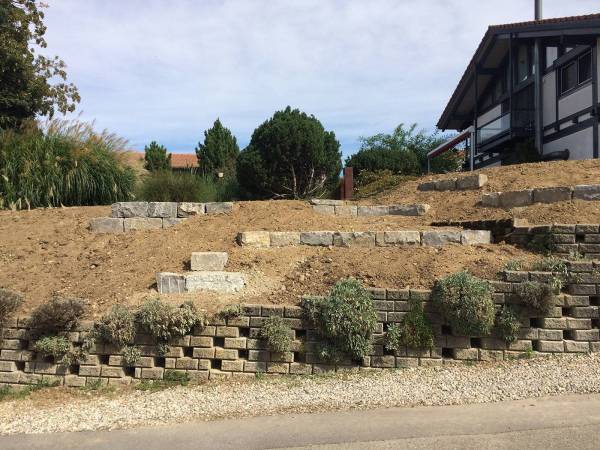 lebendiger-garten_bluetenmeer-vorher_0936_original