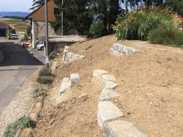 lebendiger-garten_bluetenmeer-vorher_0939_original