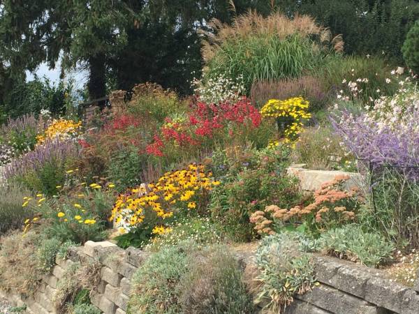 lebendiger-garten_voegeli-1_original