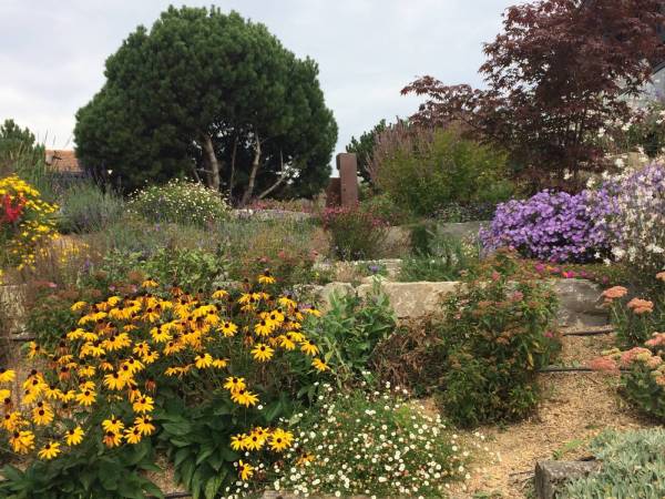 lebendiger-garten_voegeli-3_original