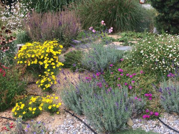 lebendiger-garten_voegeli-4_original