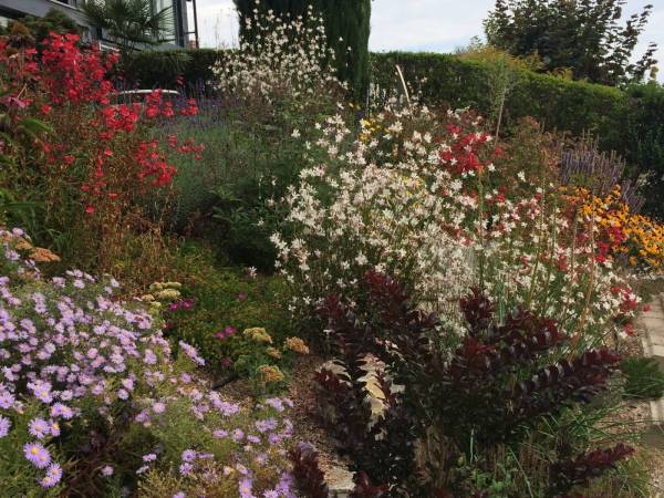 lebendiger-garten_voegeli-5_original