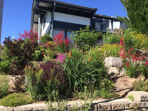 lebendiger-garten_voegeli-7_original