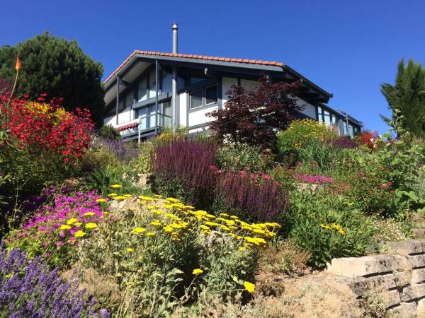 lebendiger-garten_voegeli-8_original